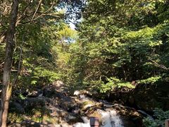 -大围山国家森林公园