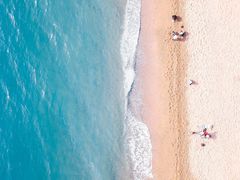 -鲜芋仙Meet Fresh(五道口店)