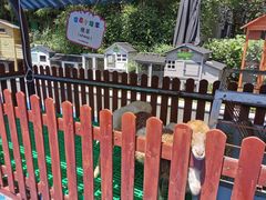 -上海崇明金茂凯悦酒店