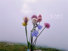 -秦岭风景区