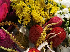 -双季花艺园艺市场(浦东店)