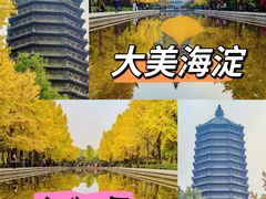 -玲珑塔公园