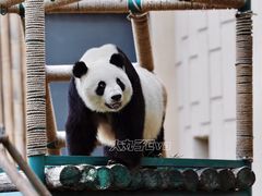 -天津市动物园