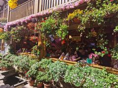 -民食香·腊排骨野生菌美食(木府店)