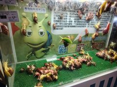-海合安青岛极地海洋公园