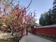 -潭柘寺景区