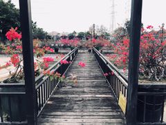 -鹅公村·国家非遗传承(荔湾店)