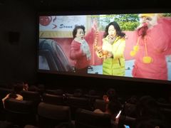 -新影联·华谊兄弟影院(望京店)