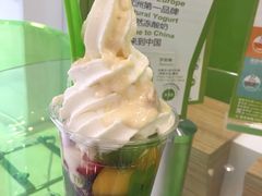 -Salud撒露欧洲冻酸奶(北苑上品店)