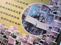 -猫咪博物馆(顶澳仔猫街店)