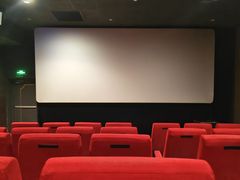 -SFC上影百联影城(八佰伴IMAX店)