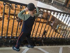 -上海浦东星河湾酒店