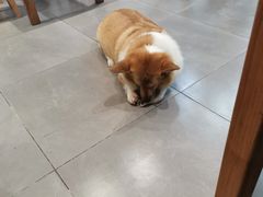 -阿木舂记·特色小吃(平江路店)