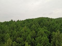 -云龙山