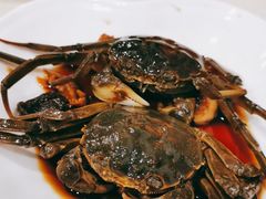 -红灯笼龙凤饭店(宁波老字号店)