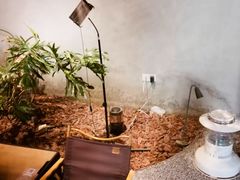 -J Create城市露营咖啡·简餐·宠物(上海动物园店)