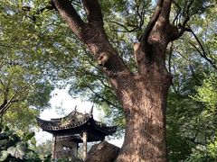 -惠山古镇·寄畅园