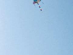 -春花秋色城市公园