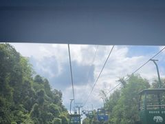 -野象谷景区