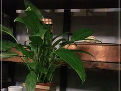 -SMOKI & CO(五大道店)