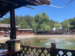 -尚庄度假村·庭台树下·户外烧烤·团建CS·轰趴营地(上庄水库店)