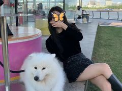 -瑞派紫金宠物医院24小时·骨科·中兽医·重症转诊中心(番禺大石院)