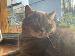 -B.O.M波姆烘焙(凤凰街店)