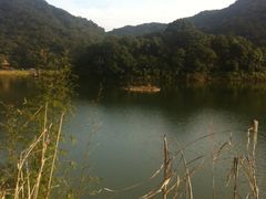 -广州市石门国家森林公园