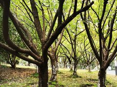 -苏州河梦清园环保主题公园