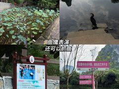 -荔江湾景区