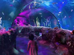 -沈阳海洋探索中心