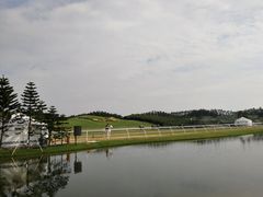 -迪茵湖田家舍生态农场