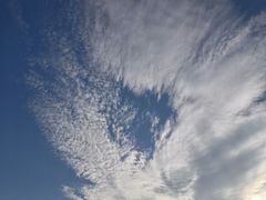 -丁香湖公园