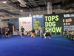 -东浩兰生上海世博展览馆