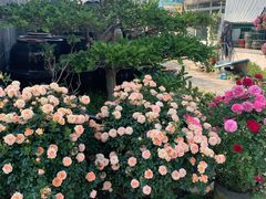 -海底捞火锅(方塔东街店)
