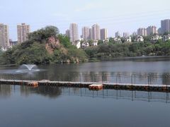 -重庆彩云湖湿地公园