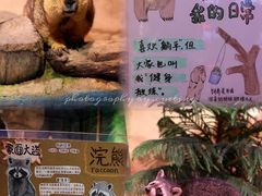 -正佳雨林生态植物园