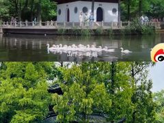 -汇龙潭