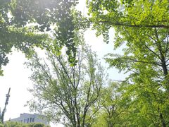 -泰州凤城河风景区-泰山公园