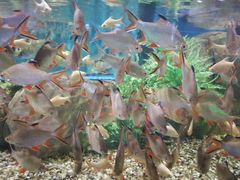 -石林冰雪海洋世界