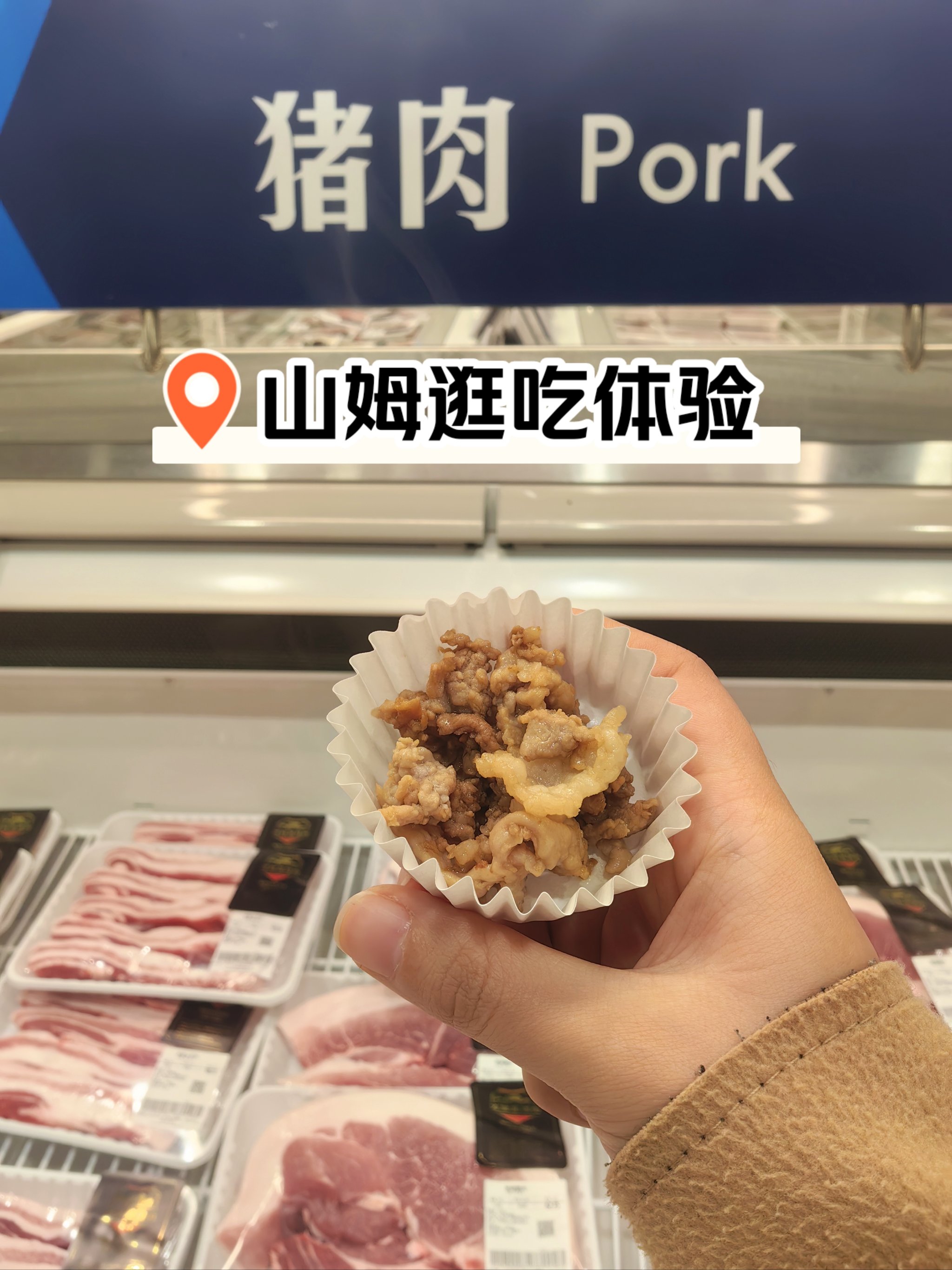 pork是什么意思中文图片