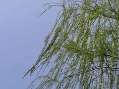-后襄河公园