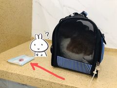 -伟伟宠物医院·CT影像中心·瑞派犬猫综合性门诊(汉口总院)