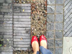 -黄海国家森林公园