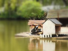 -金庭庄园酒店-停车场