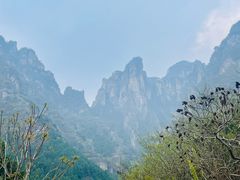 -狼牙山风景区
