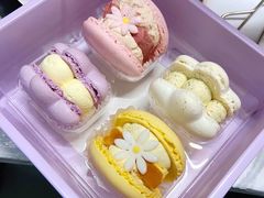 -好利来.生日蛋糕(杨家坪店)