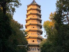 -灵谷景区
