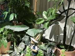 -Thai Basil罗勒叶泰式餐厅(时代天街店)