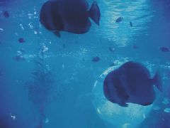 -常州海昌海洋探索馆